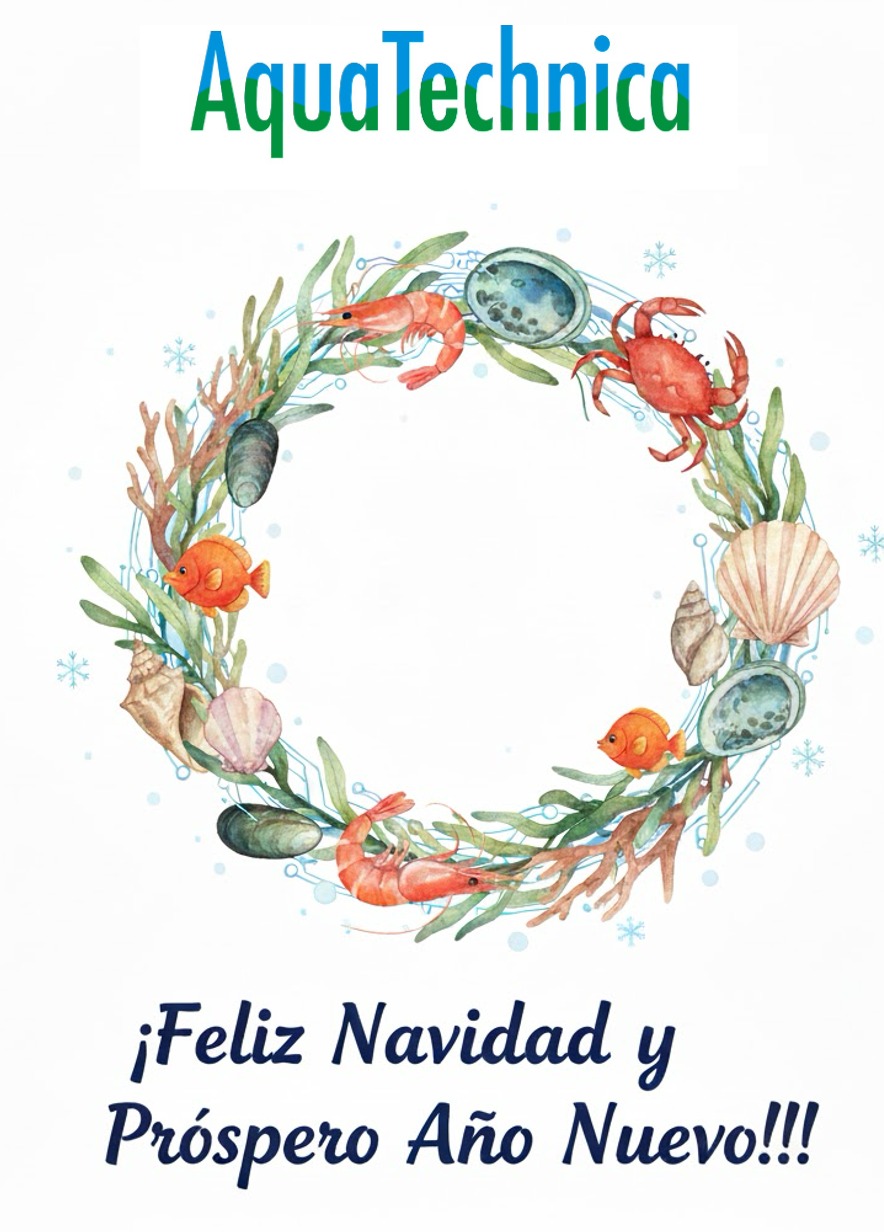 En esta víspera de Navidad ...